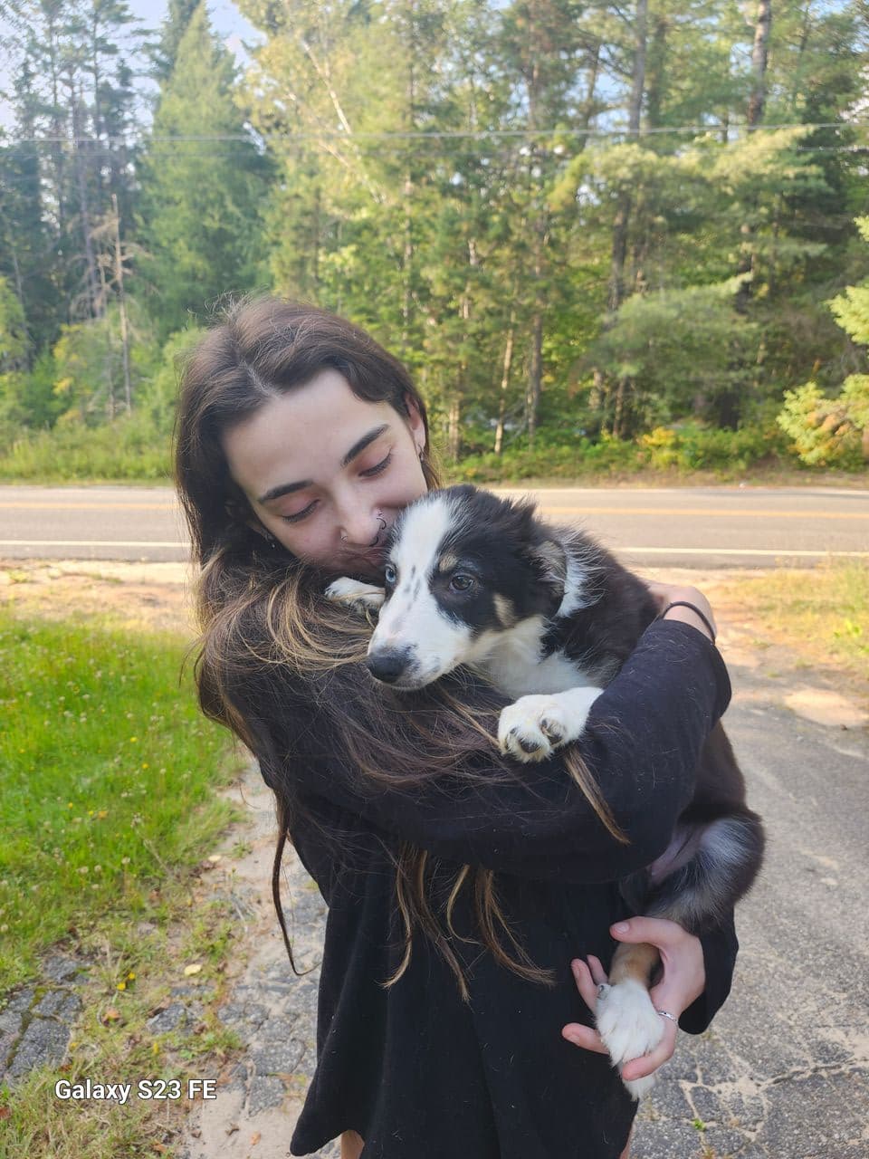 Pet travel photo 3