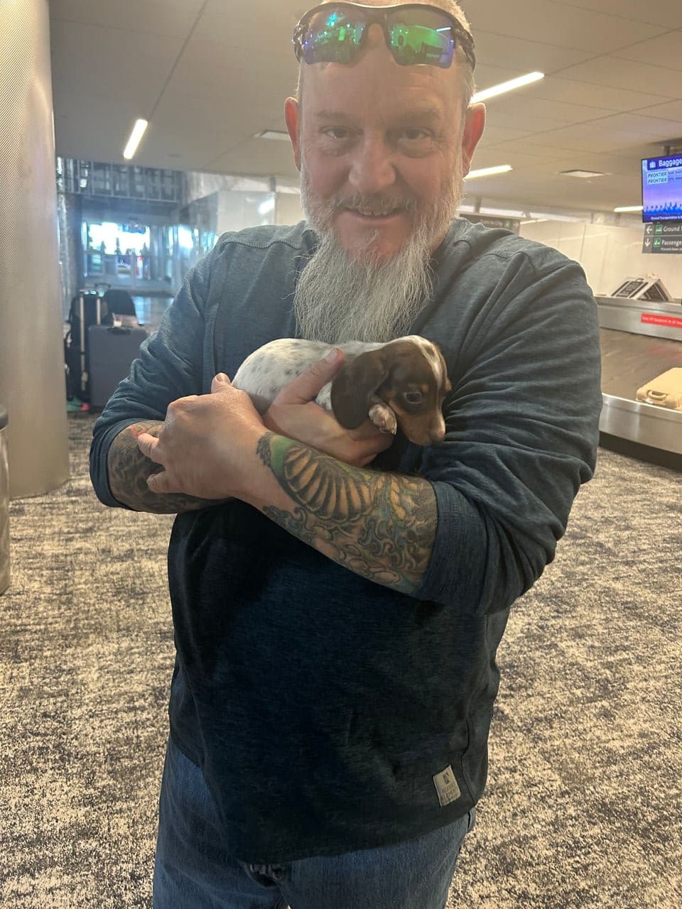Pet travel photo 6