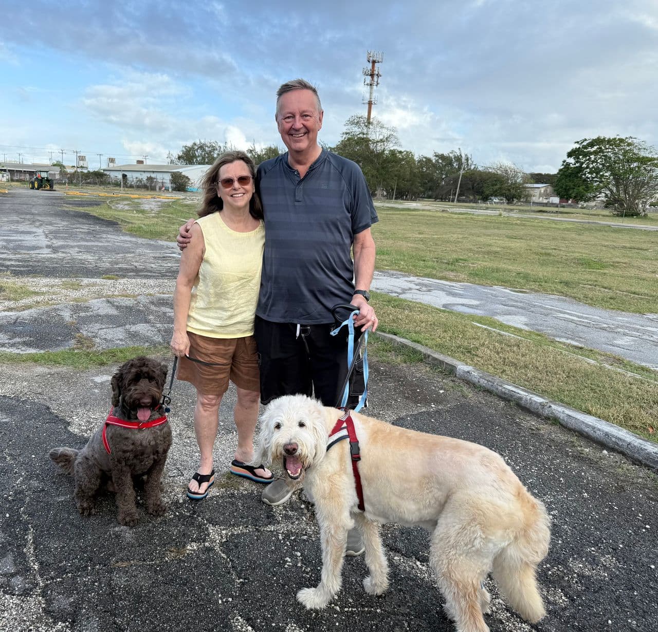 Pet travel photo 3