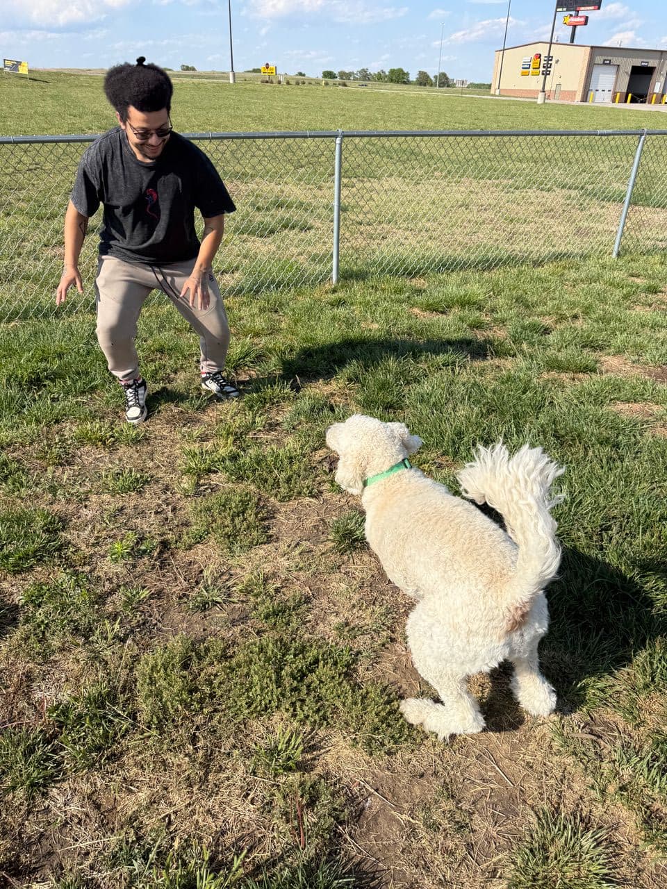 Pet travel photo 1