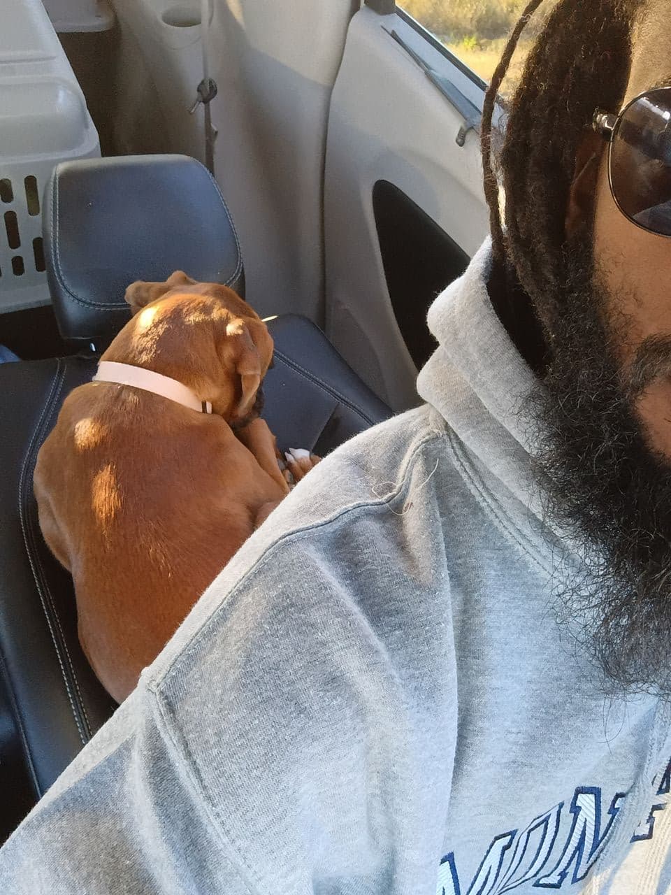 Pet travel photo 2