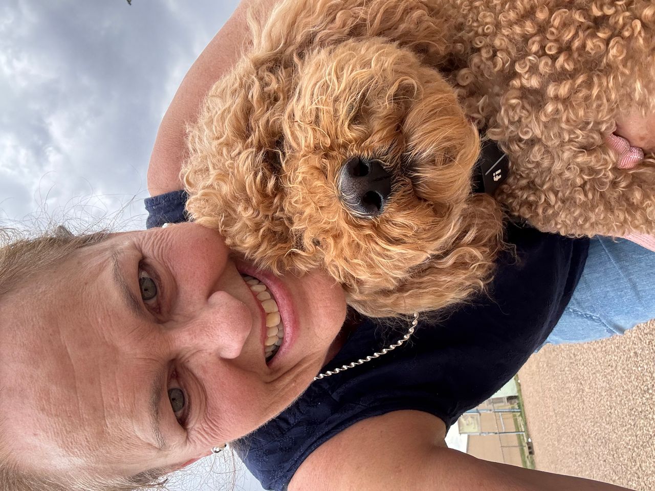 Pet travel photo 3