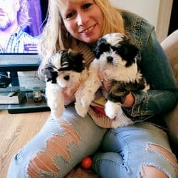 Pooches & Purrs Pet-Sitting / Precious Cargo Transport