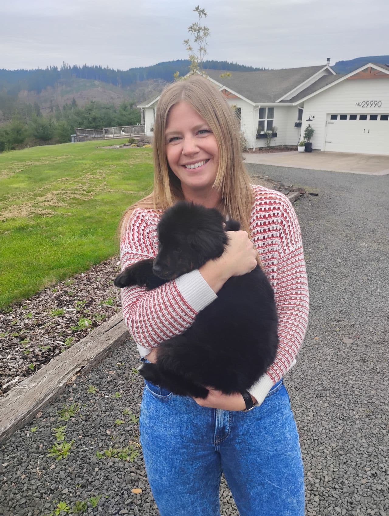 Pet travel photo 3