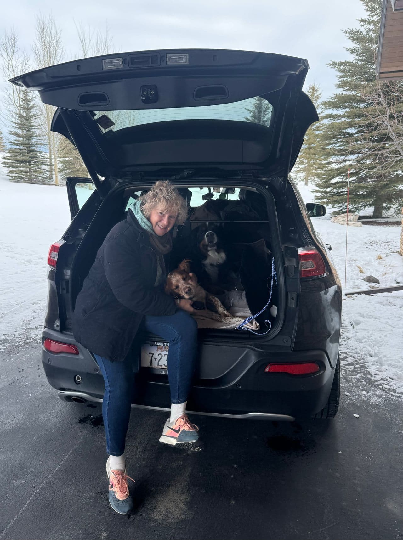 Pet travel photo 4