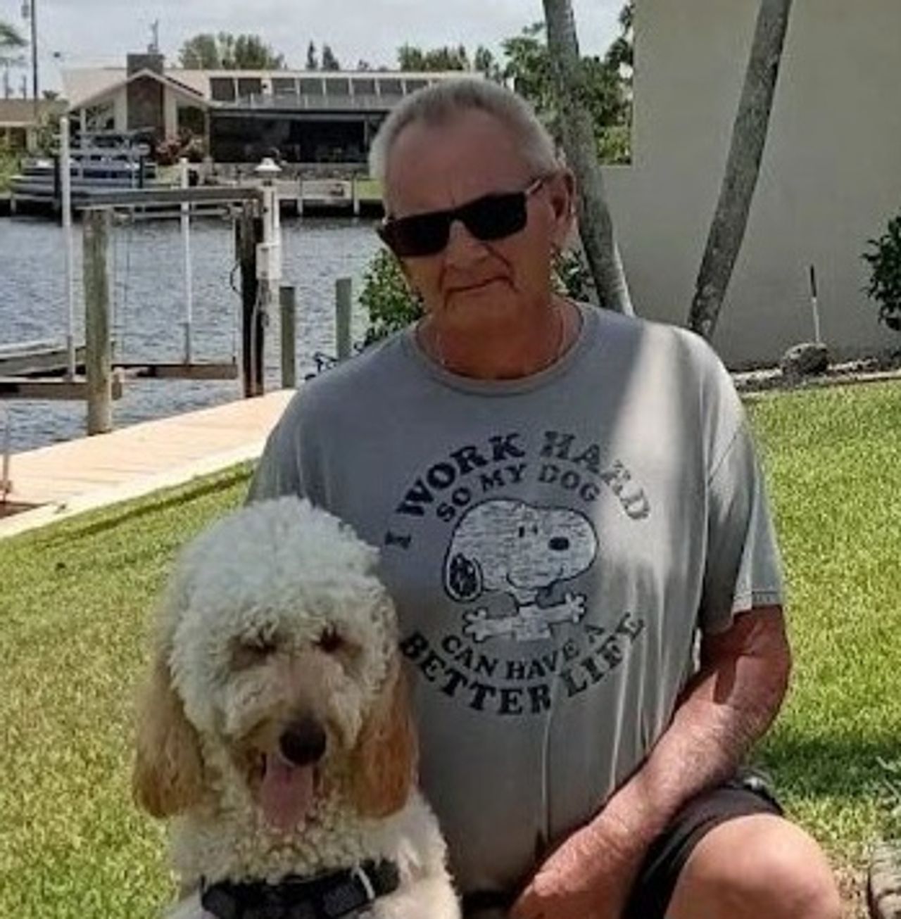 Barry's Dogs