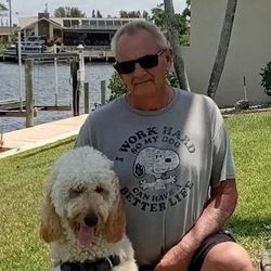 Barry's Dogs 