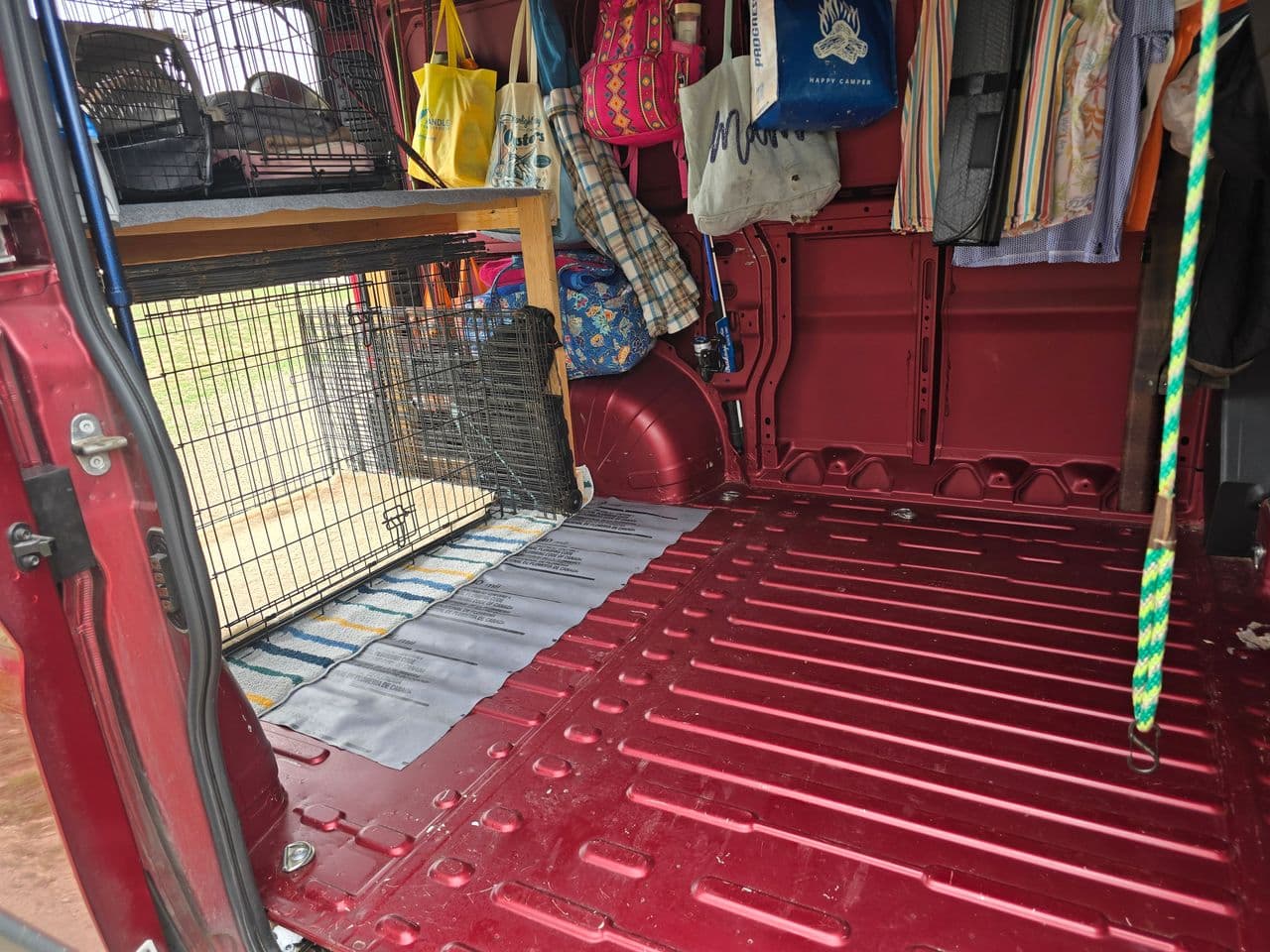 Pet travel photo 4