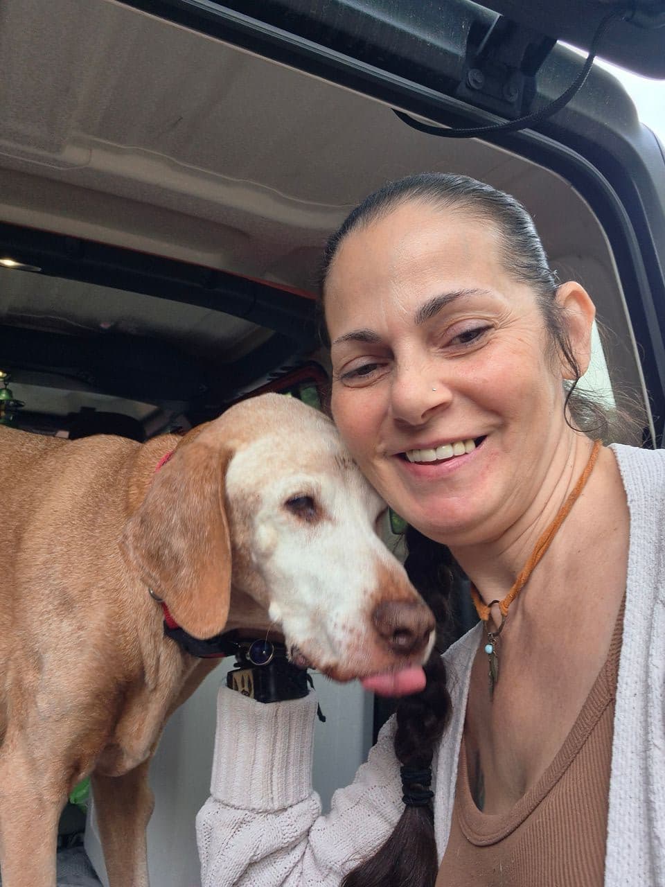 Pet travel photo 1
