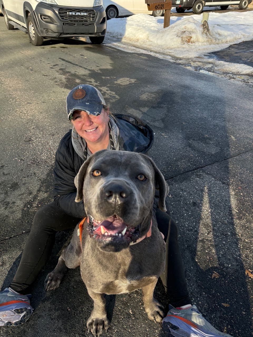 Rides 4 Paws Transport & Rescue