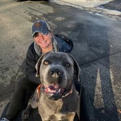 Rides 4 Paws Transport & Rescue