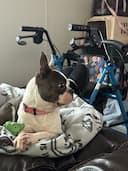 Indiana reviews
