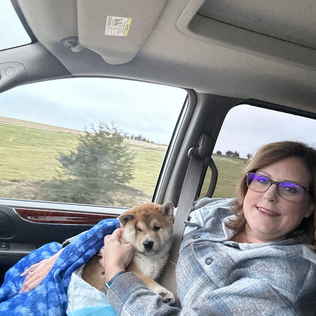 Pet travel photo 6