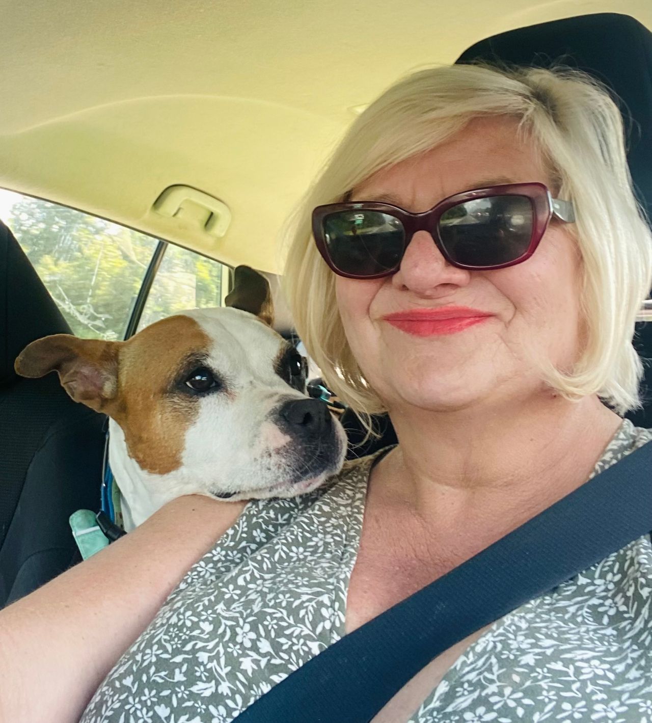 Pet travel photo 1