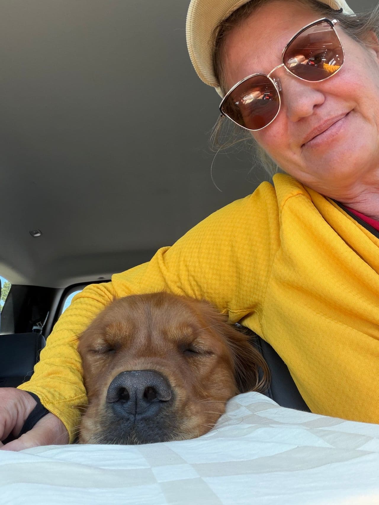 Pet travel photo 5
