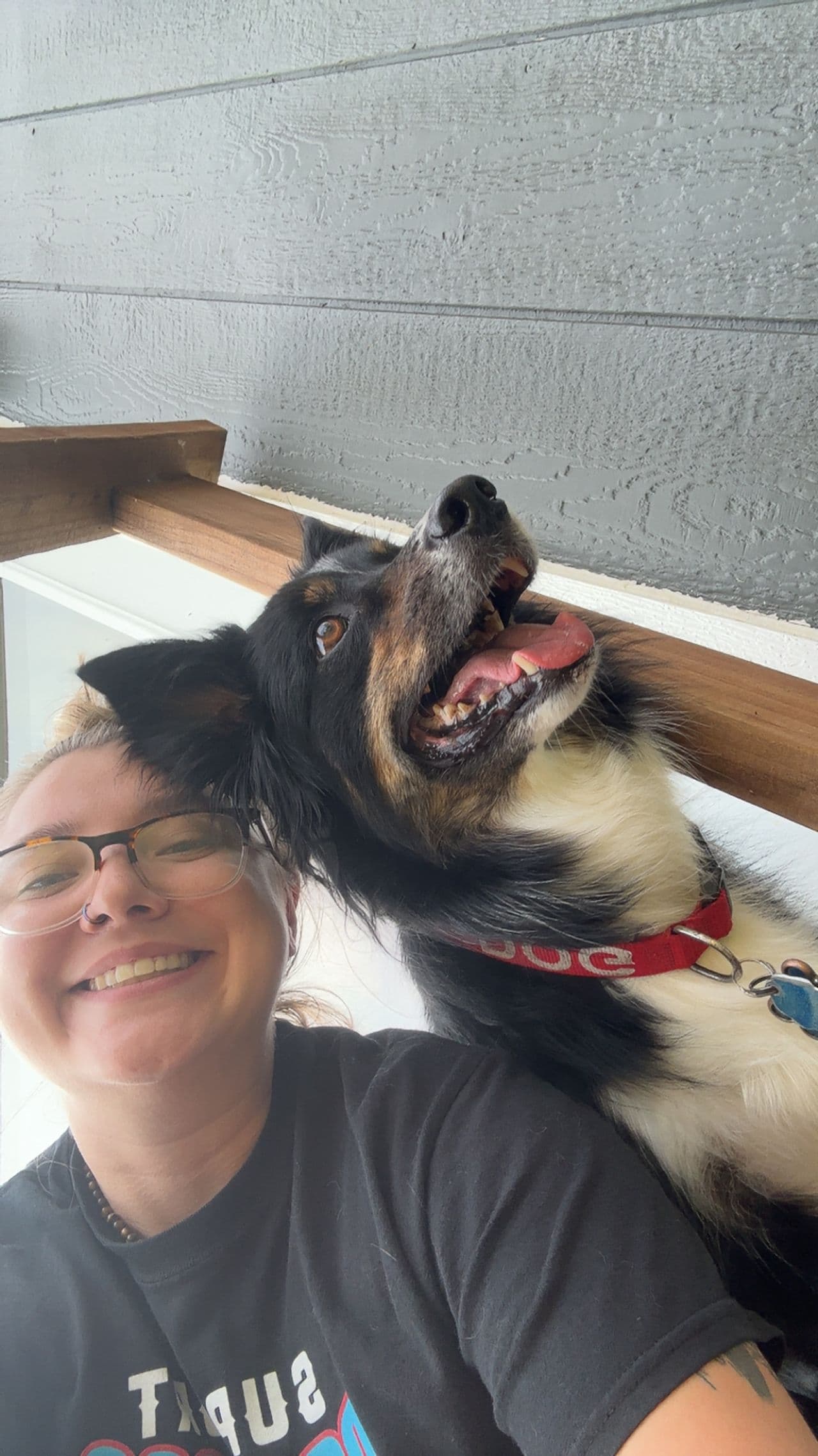 Pet travel photo 3