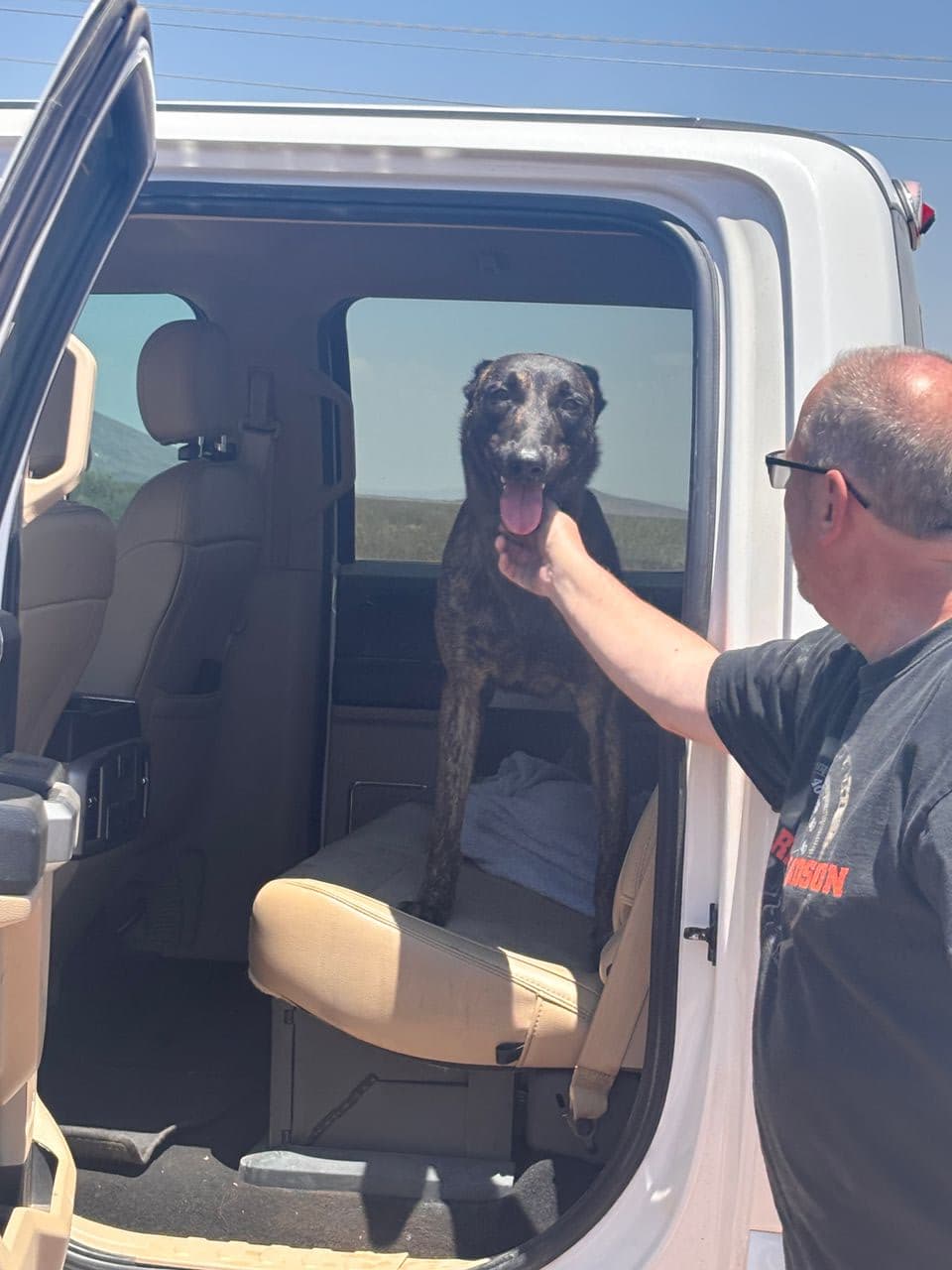 Pet travel photo 1