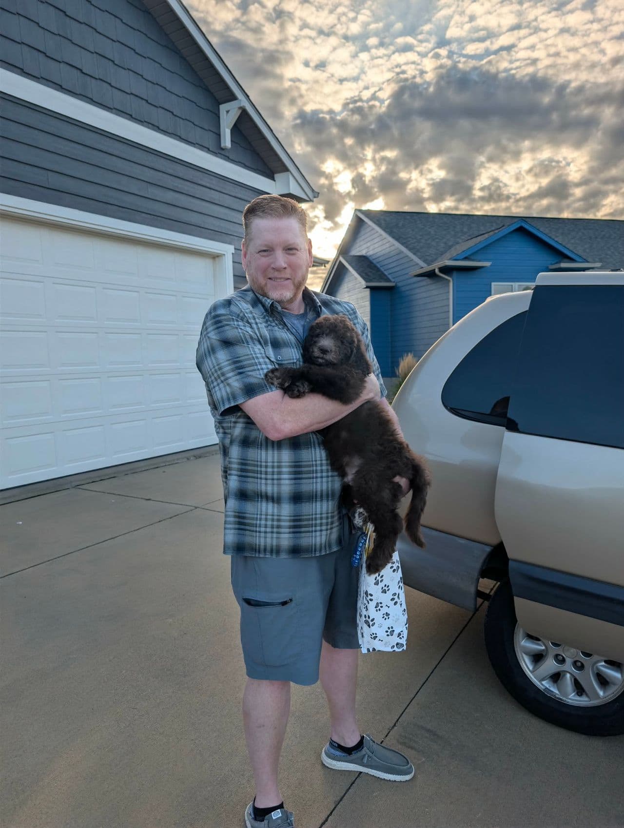 Pet travel photo 2