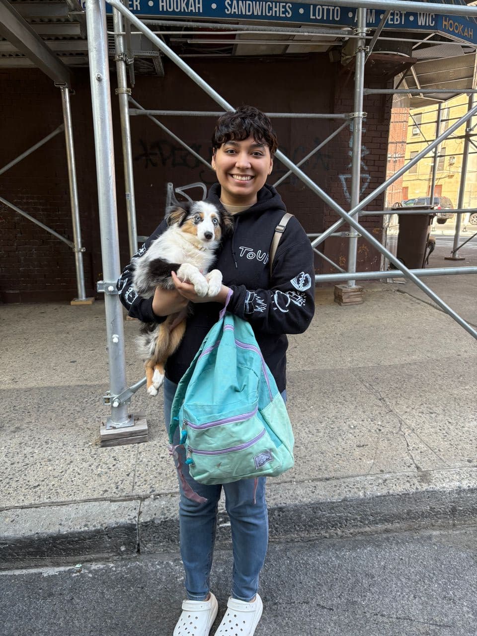 Pet travel photo 4