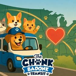 The Chonk Badonk Transit