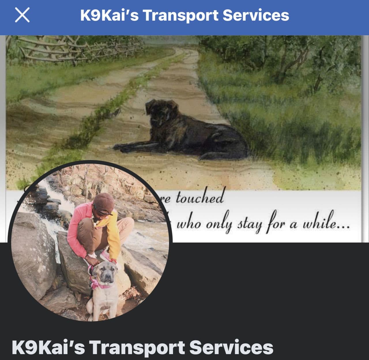 Pet travel photo 6