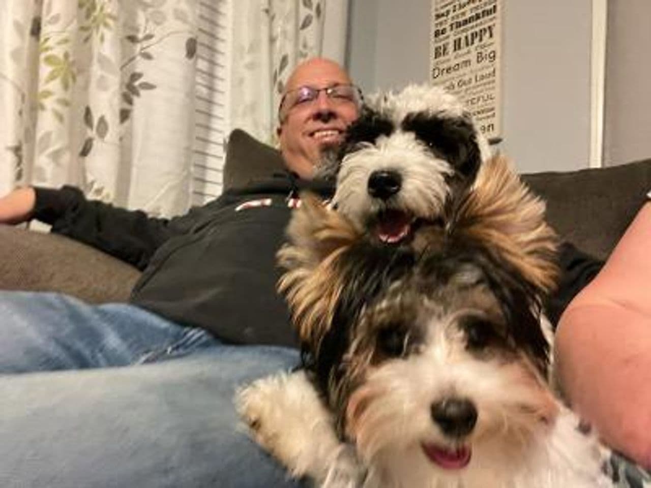 Pet travel photo 5