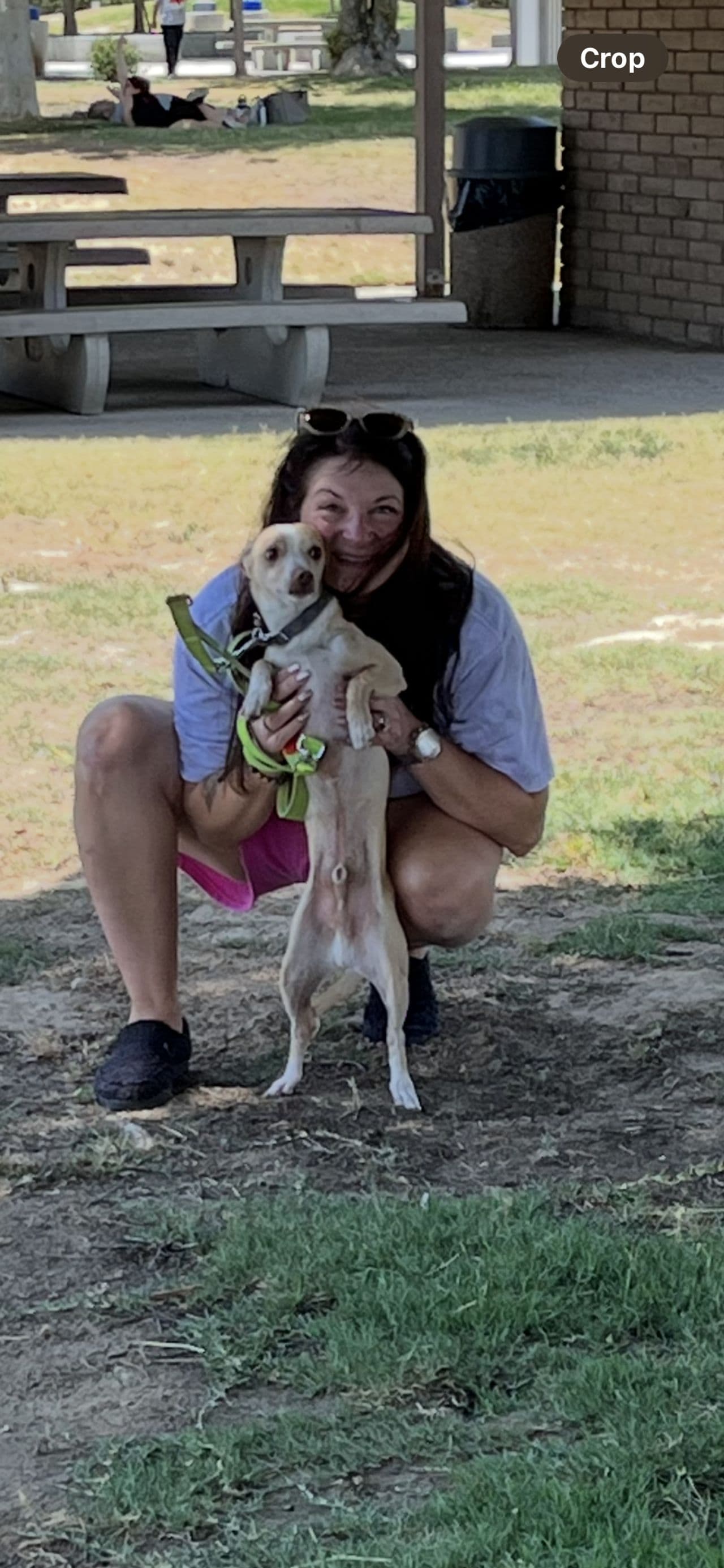 Pet travel photo 3