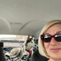 Treasured Transports