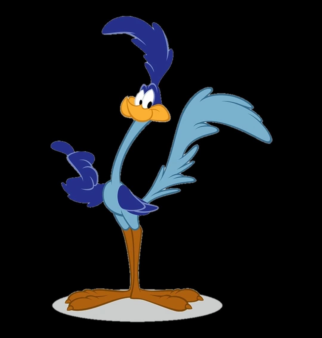Road runner pet Transport LLC