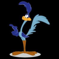 Road runner pet Transport LLC