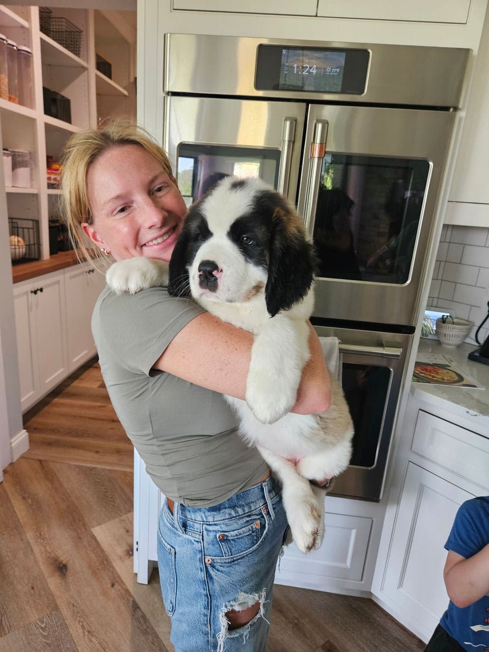 Pet travel photo 6