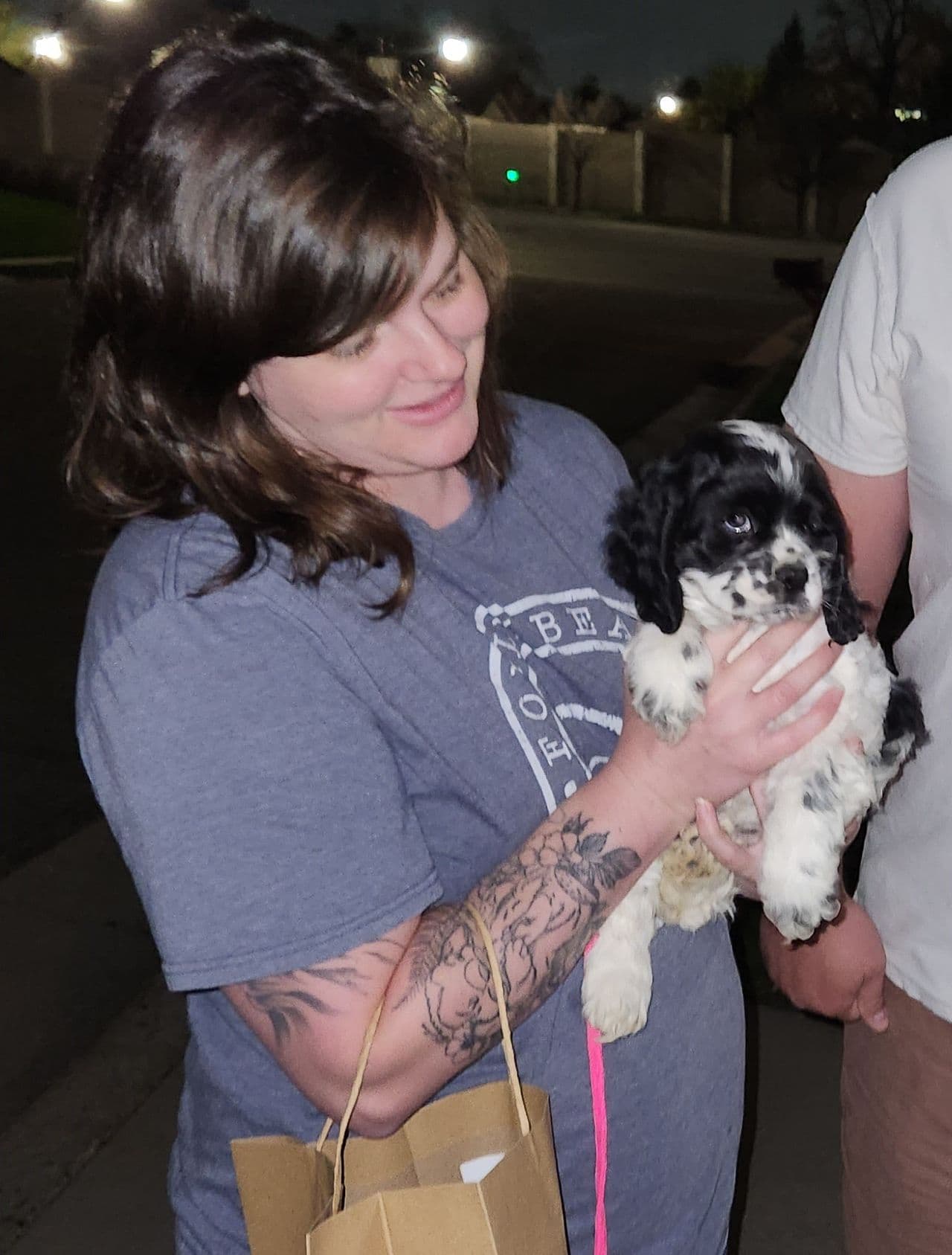 Pet travel photo 3