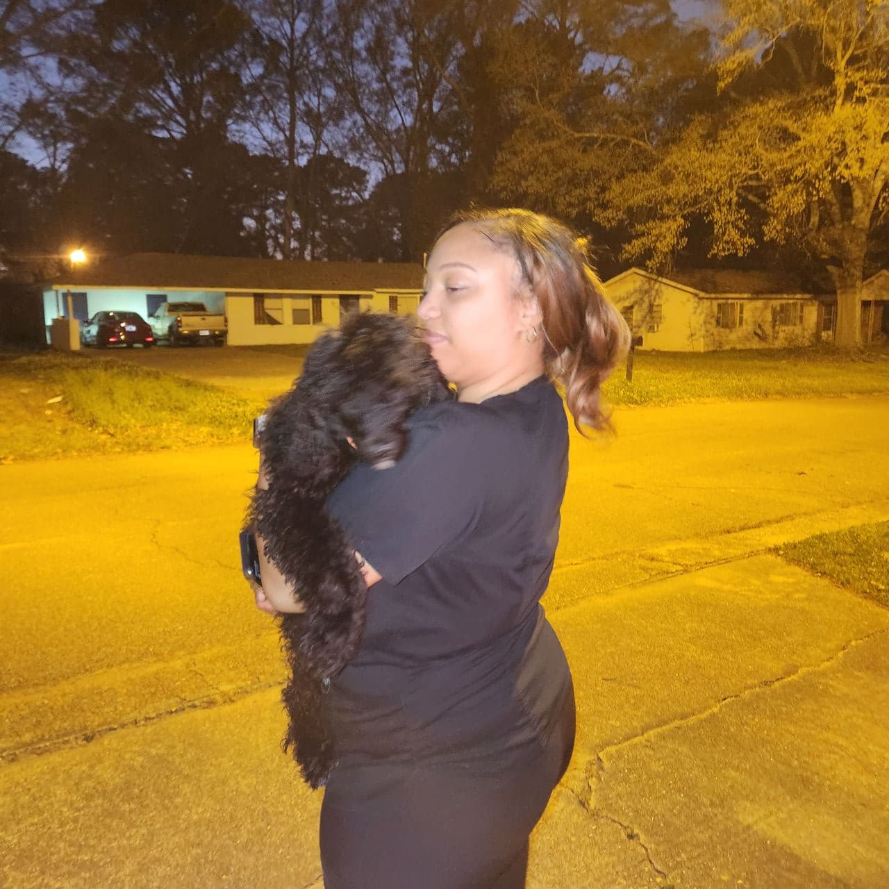 Pet travel photo 2