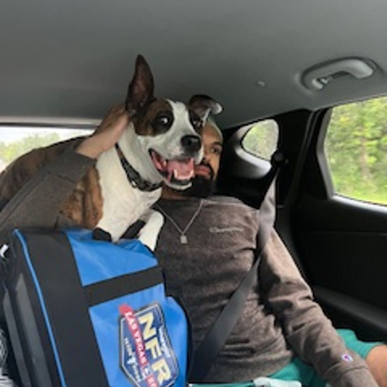 Pet travel photo 6