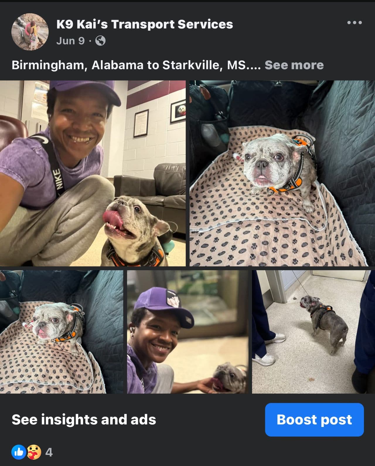 Pet travel photo 2