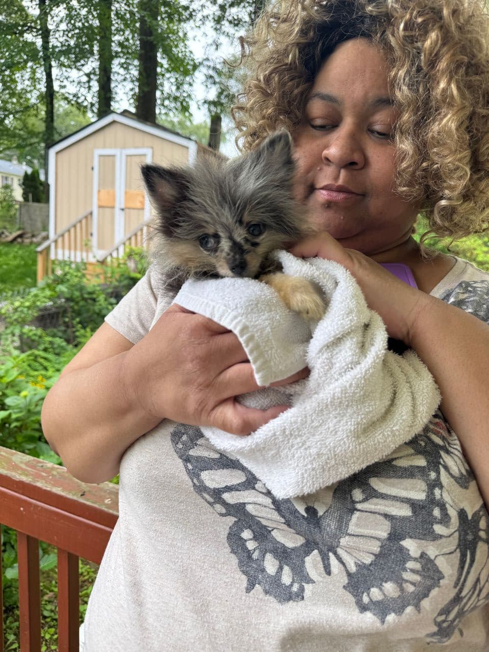 Pet travel photo 1