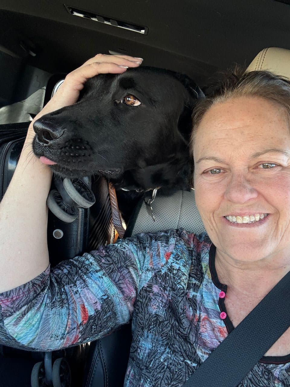 Pet travel photo 5