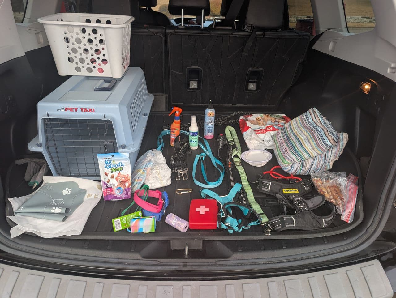 Pet travel photo 1