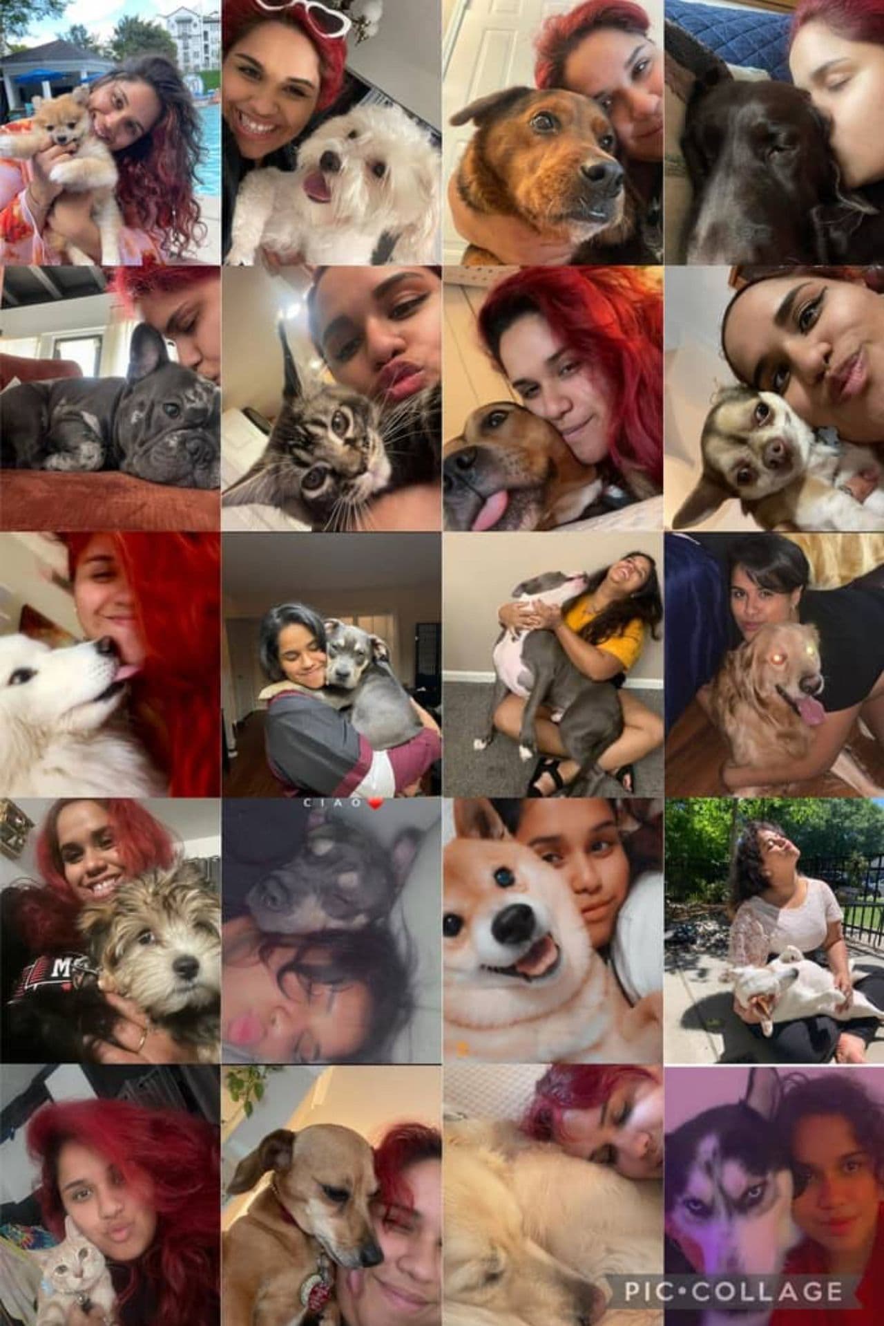 Pet travel photo 3