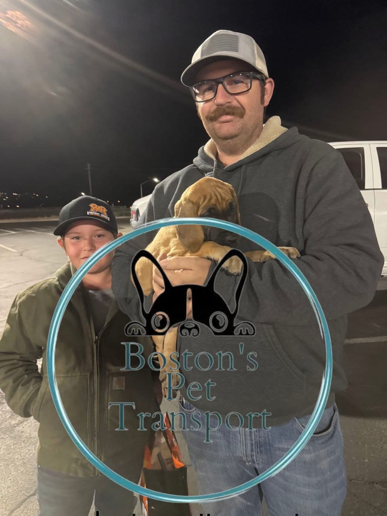 Pet travel photo 6