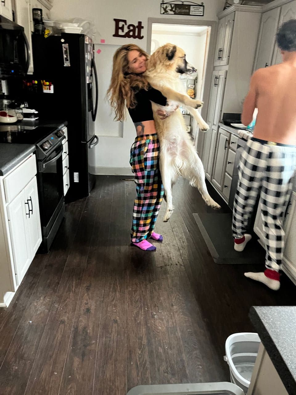 Pet travel photo 1