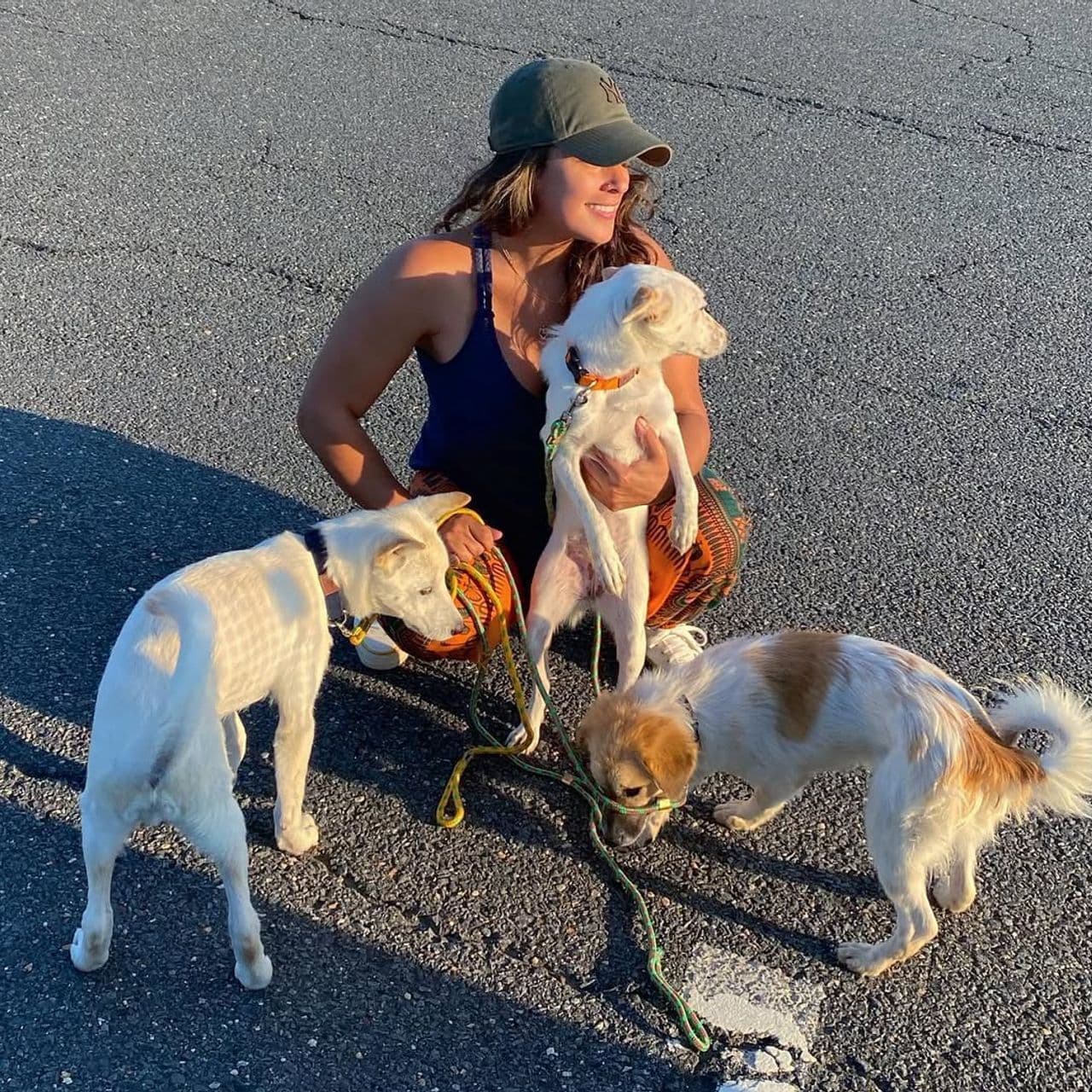 Pet travel photo 4
