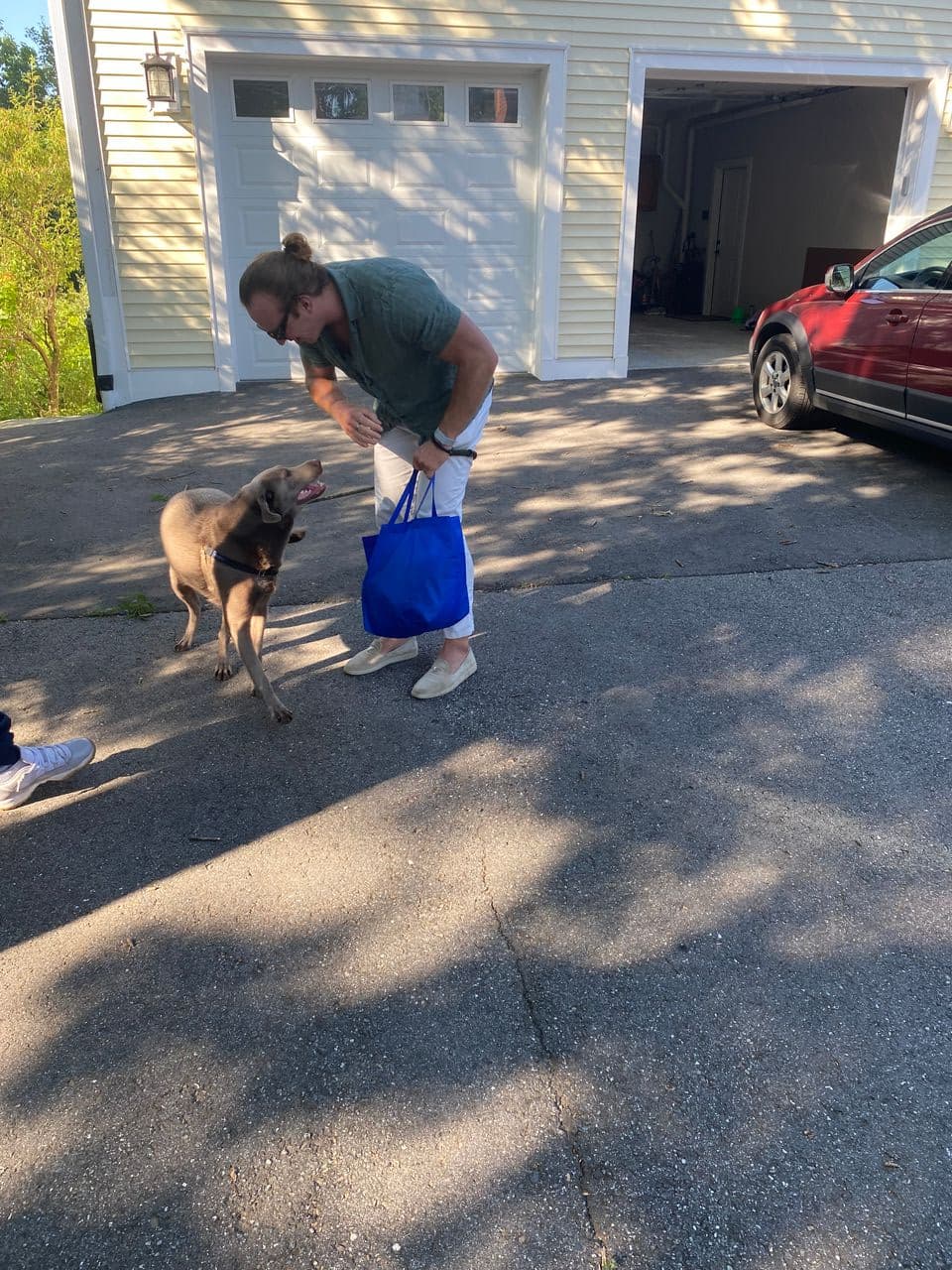 Pet travel photo 1