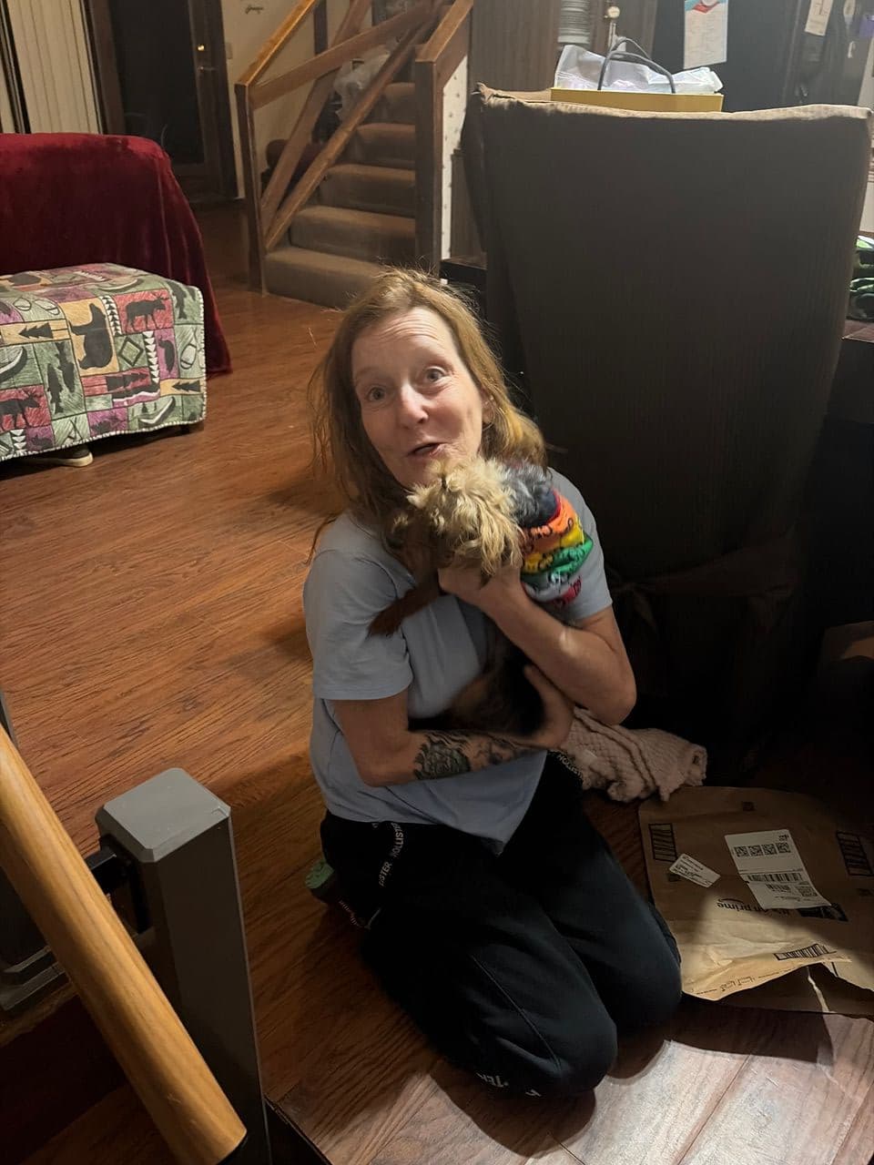 Pet travel photo 4