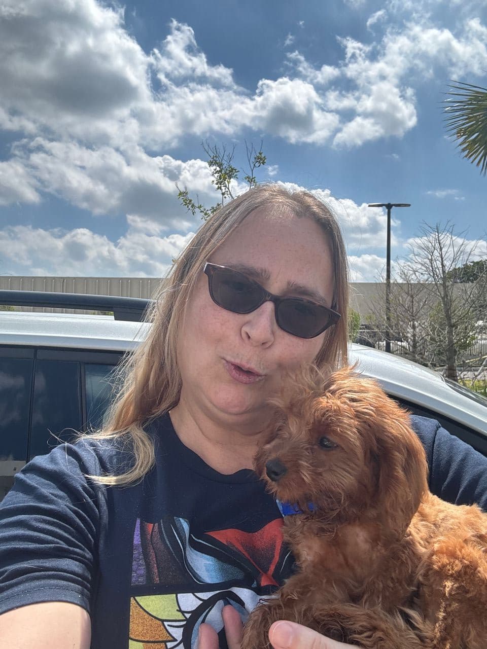 Pet travel photo 2