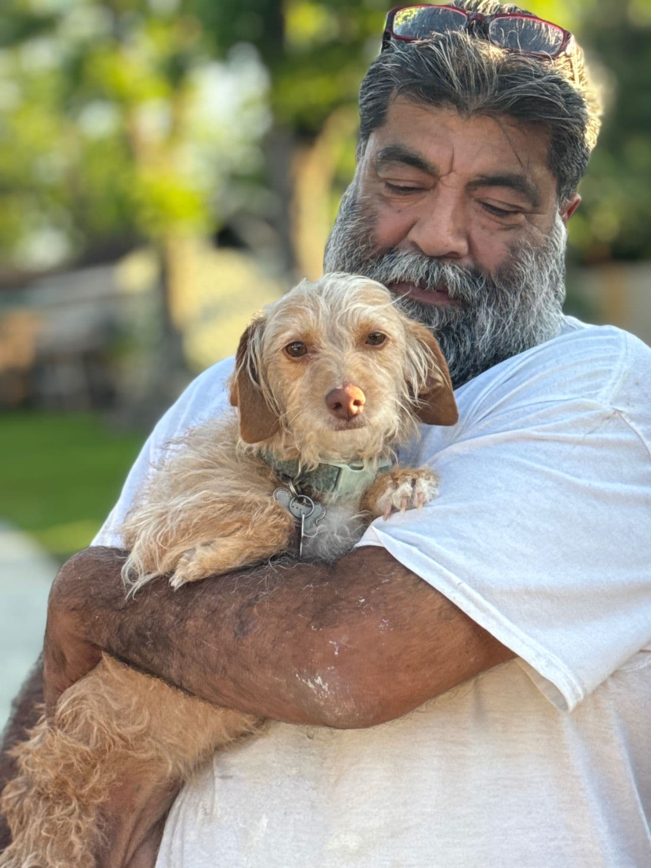 Pet travel photo 5