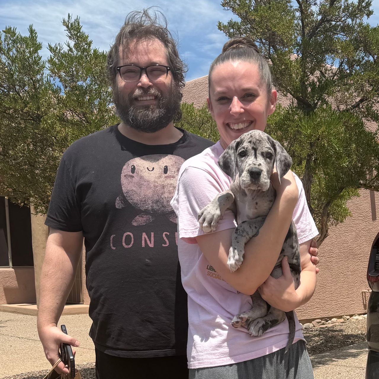 Pet travel photo 4