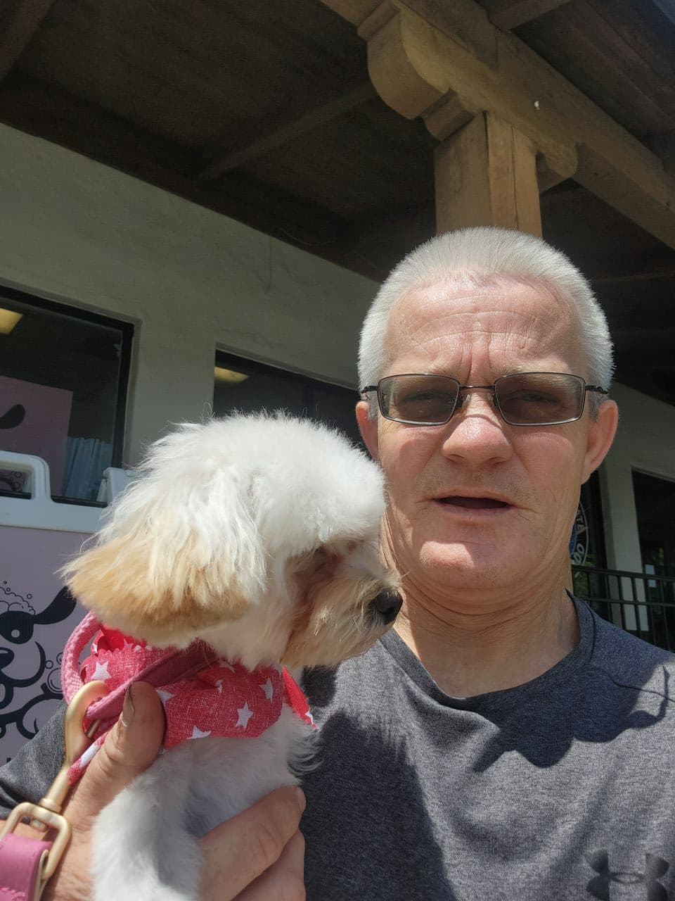 Pet travel photo 1