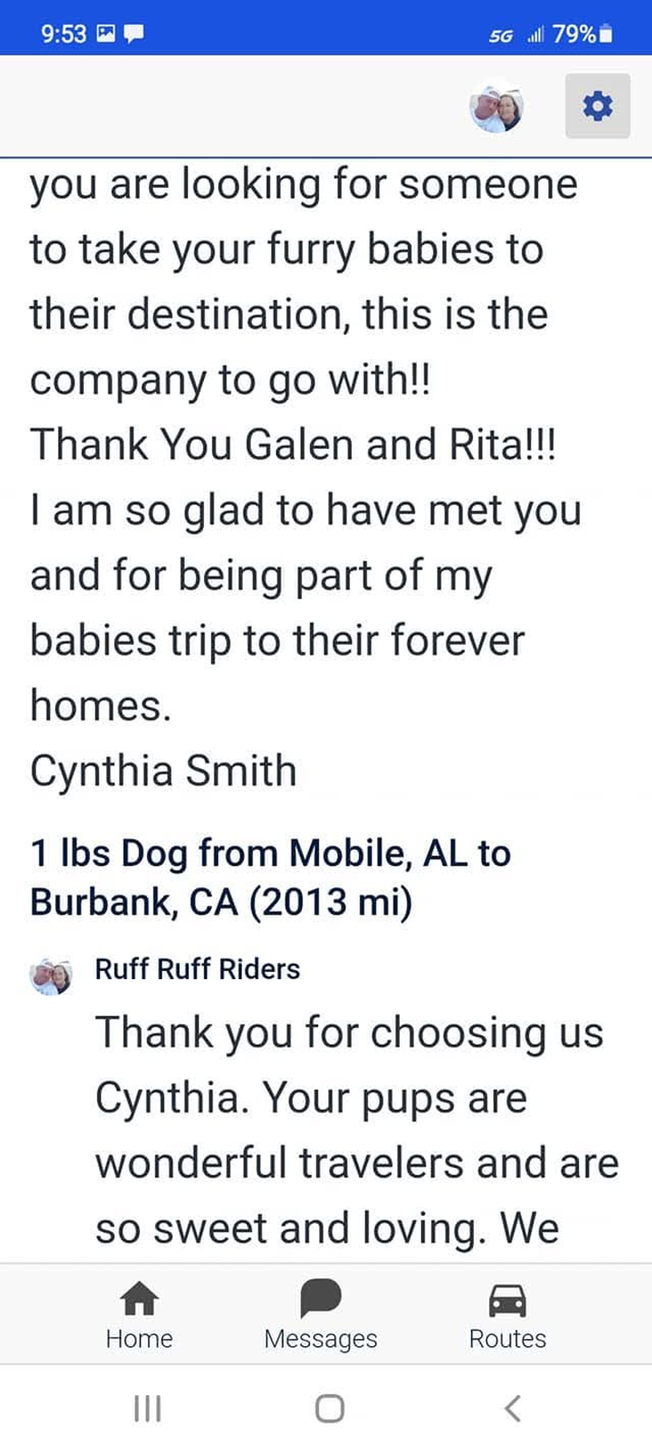 Pet travel photo 5