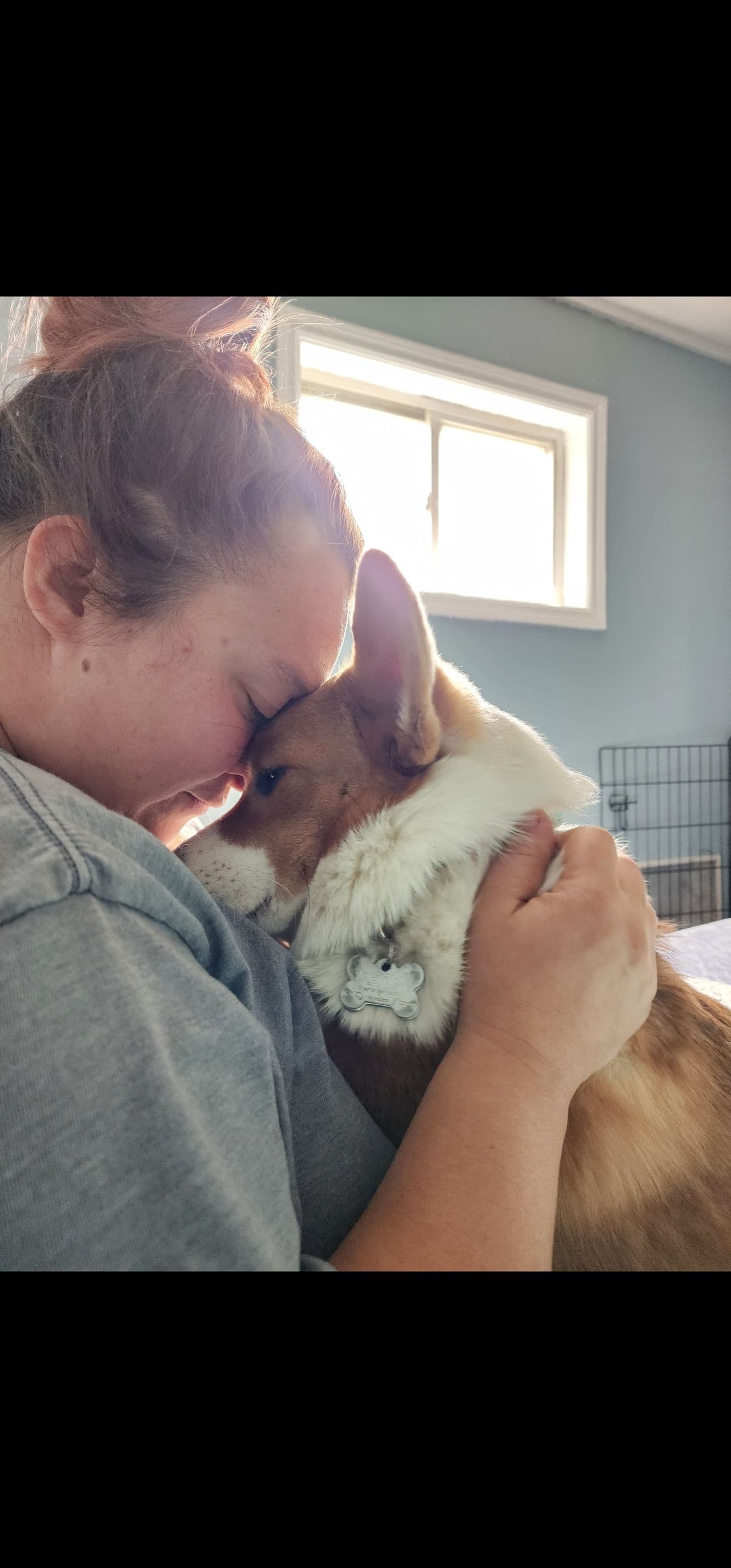 Pet travel photo 3
